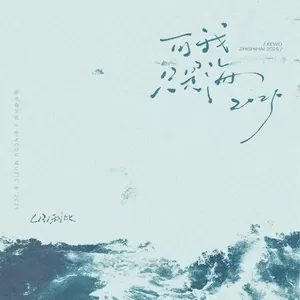 可我只是海(DJ刘雅松版伴奏)