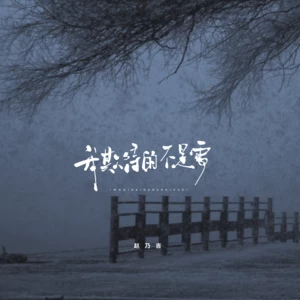 我期待的不是雪(大雪版伴奏)