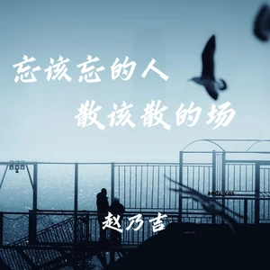 忘该忘的人散该散的场（DJ版）