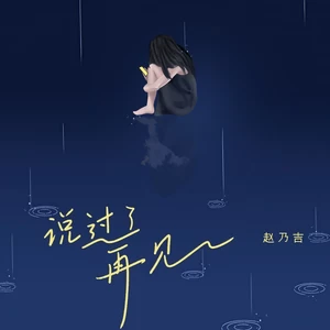 说过了再见(DJ九零版伴奏)