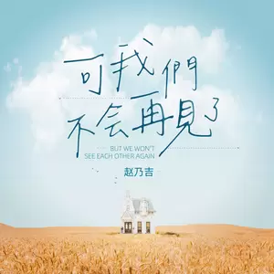 可我们不会再见了