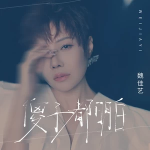 傻子都明白