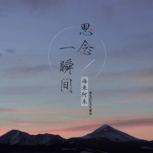 思念一瞬间(DJ名龙版)