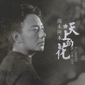 天上的花(伴奏)