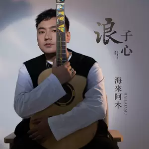 浪子心(DJ沈念版伴奏)