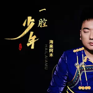一腔少年(DJ沈念版伴奏)