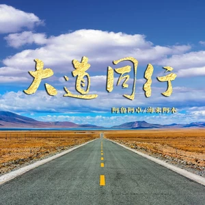 大道同行(DJ亚明版)