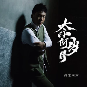 奈何岁月(DJ可乐版)