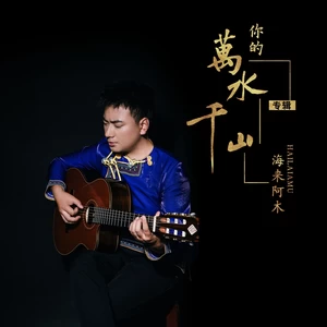 你的万水千山(DJ沈念版伴奏)