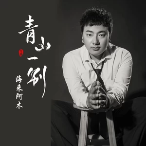 青山一别(DJ沈念版伴奏)