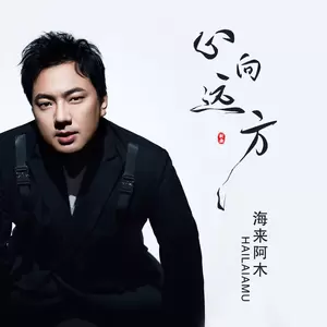 心向远方(DJ小拳权版伴奏)