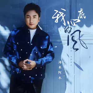 我心底的风(DJ默涵版)