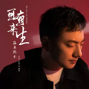 可有来生(DJ沈念版)