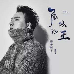 孤独的王(DJ名龙版伴奏)