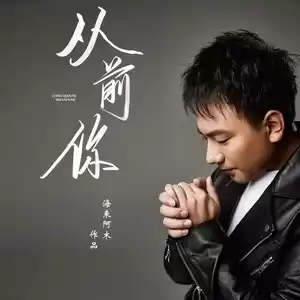 从前你(DJ彭锐版伴奏)