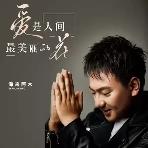 爱是人间最美丽的花(DJ默涵版伴奏)