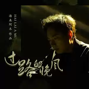 过路的晚风(DJ默涵版)