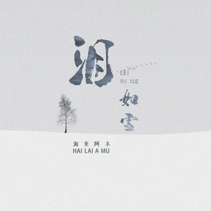泪如雪(DJ默涵版)