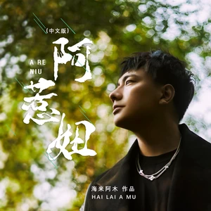 阿惹妞(DJR7版伴奏)
