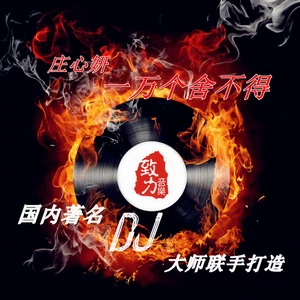 一万个舍不得(DJ 阿圣)