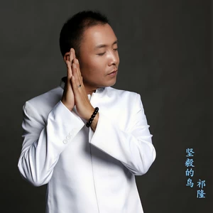坚毅的鸟(伴奏)