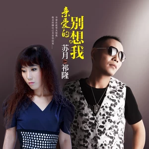 亲爱的别想我(Remix)