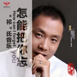 怎能把你忘(伴奏)