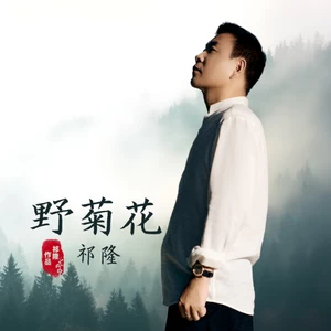 野菊花(女伴奏)