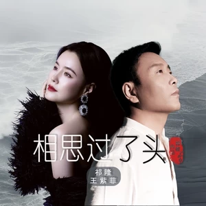 相思过了头(DJ默涵版伴奏)