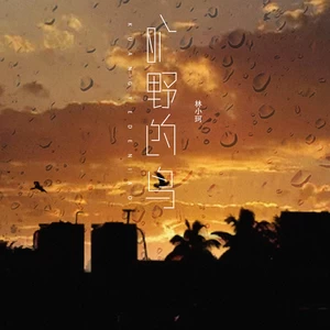 旷野的鸟(伴奏)