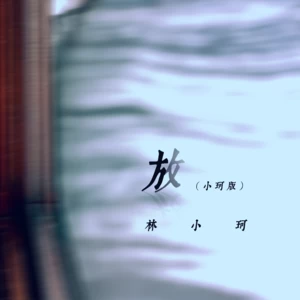 放(小珂版)