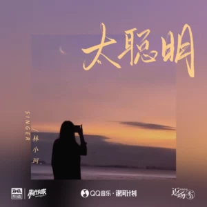 太聪明(伴奏)