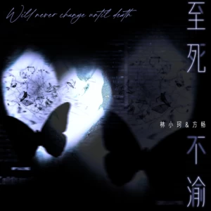 至死不渝(伴奏)