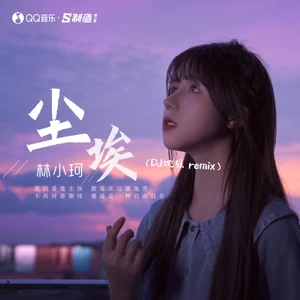 尘埃(DJ沈乐remix)