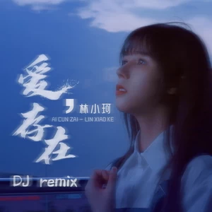 爱，存在(dj沈乐remix)