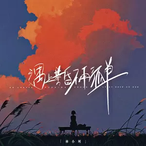遇上黄昏不再孤单