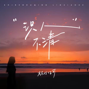 识人不清(DJAh版)