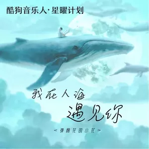 我在人海遇见你(女声版伴奏)