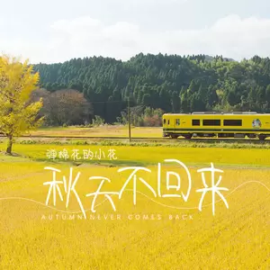 秋天不回来(伴奏)