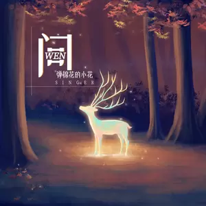 问(DJ何友版伴奏)