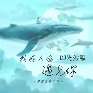 我在人海遇见你(DJ光波版伴奏)