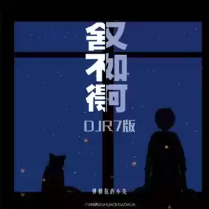 舍不得又如何(DJR7版)