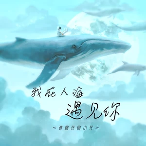 我在人海遇见你(DJ阿诺版)