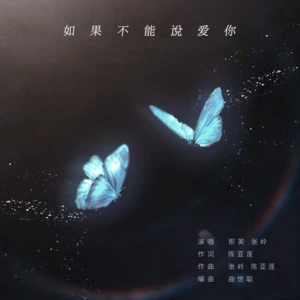 如果不能说爱你(伴奏)